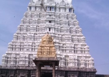 Varadharaja Perumal Temple Kanchipuram